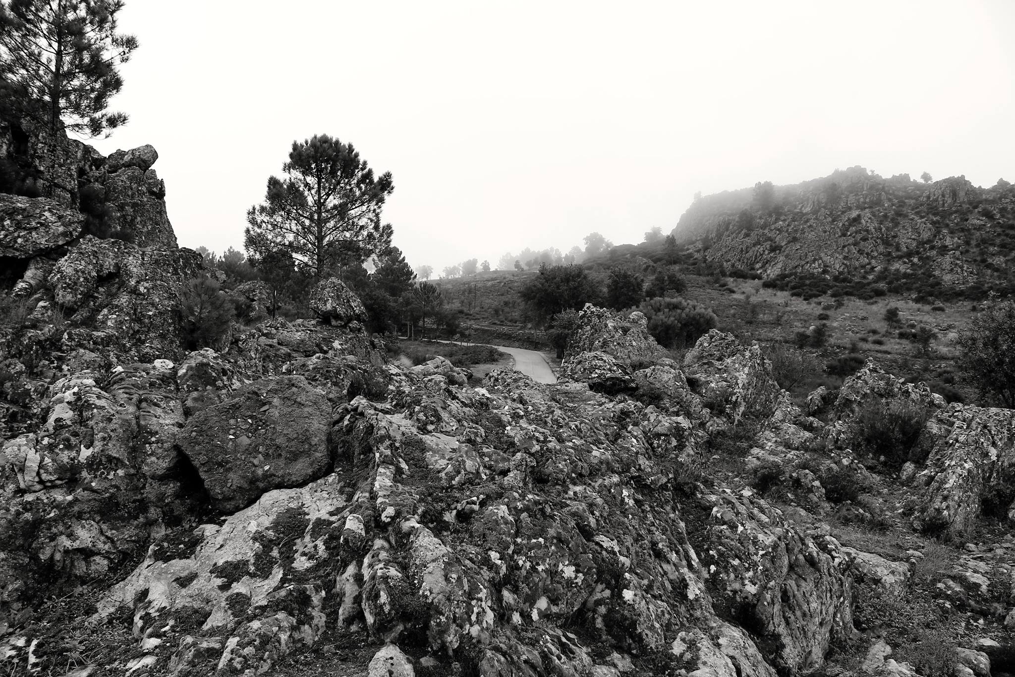 Penedos e nevoeiro na Serra de São Mamede