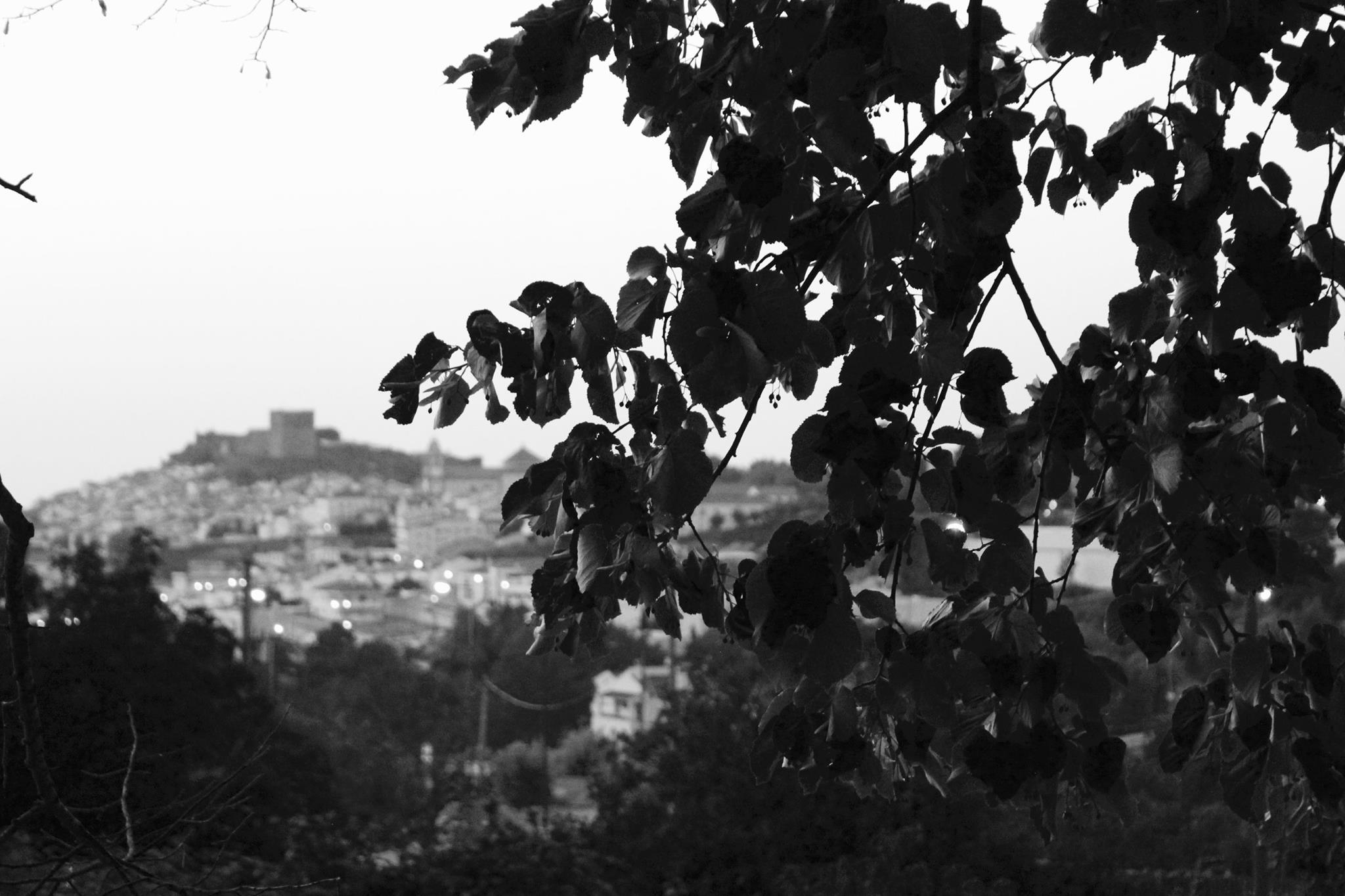 Castelo de Vide entrevisto através da ramagem
